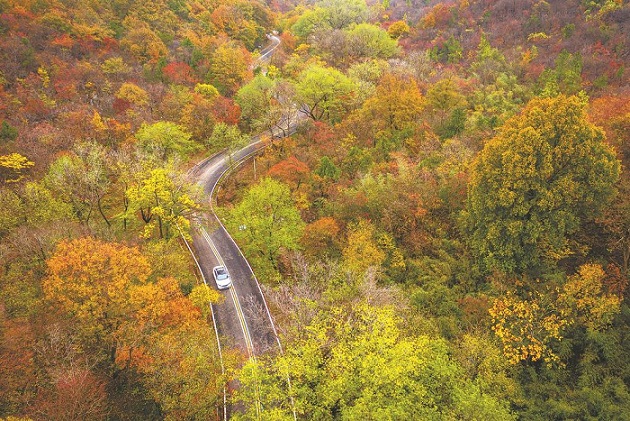 e82aaba47fd402a1be0d726417ffae10.jpg