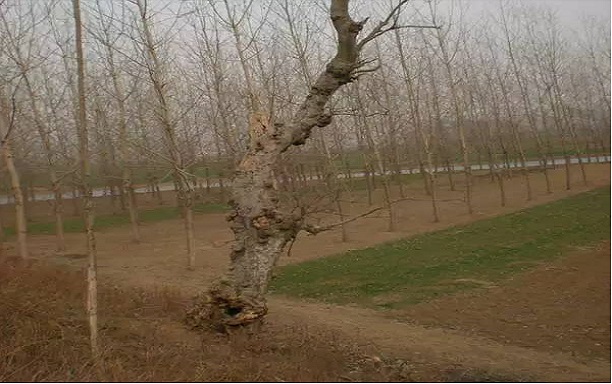 QQ图片20200517164349.jpg